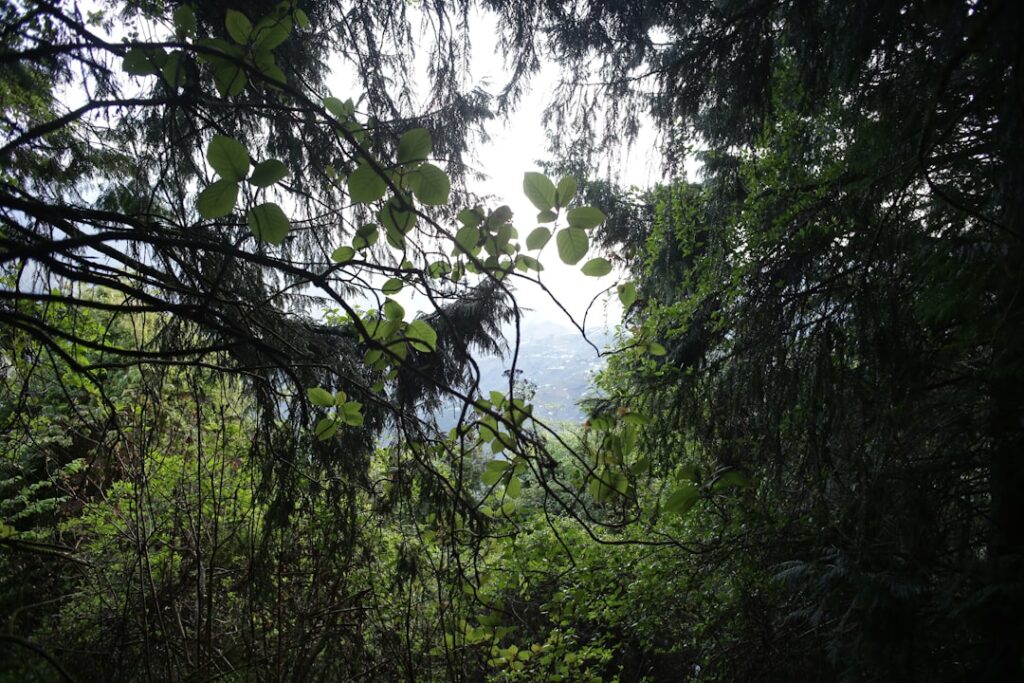 Uganda safari best time to visit